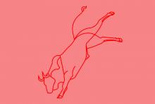 Roter Stier auf hellrotem Grund 